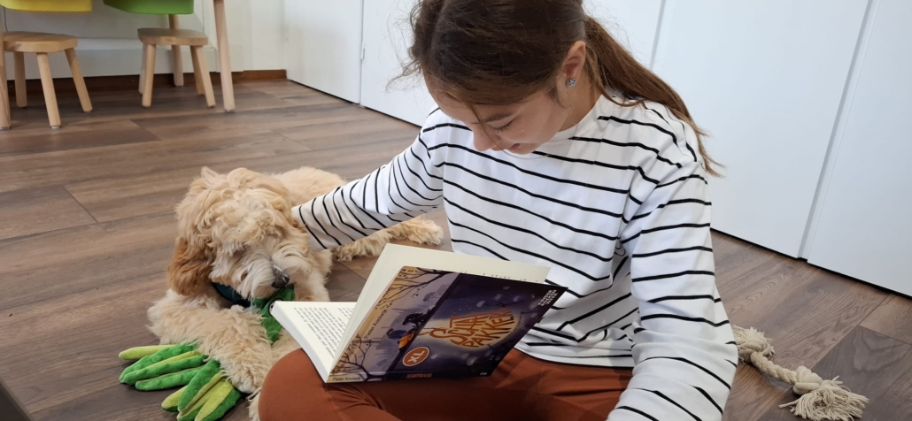 Therapiehond Bobbie aan het werk