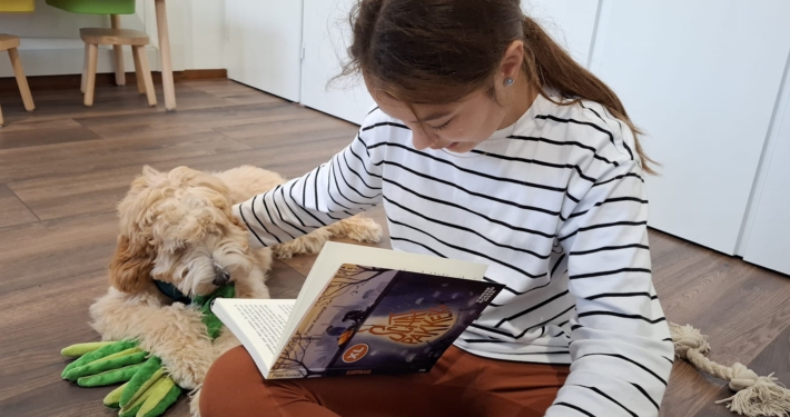 Therapiehond Bobbie aan het werk